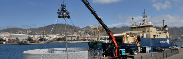 El puerto de Tenerife se consolida como base del cable submarino de fibra óptica