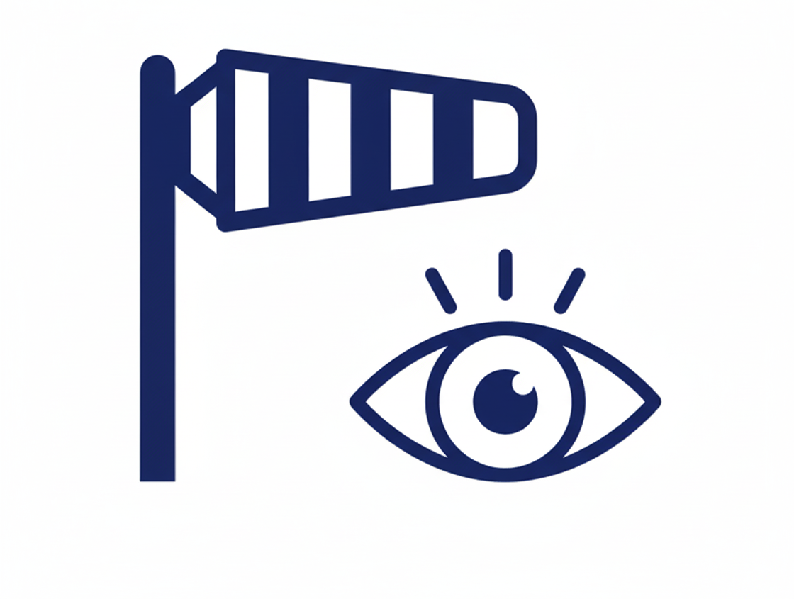 Observación viento en tiempo real